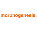 Morphogenesis